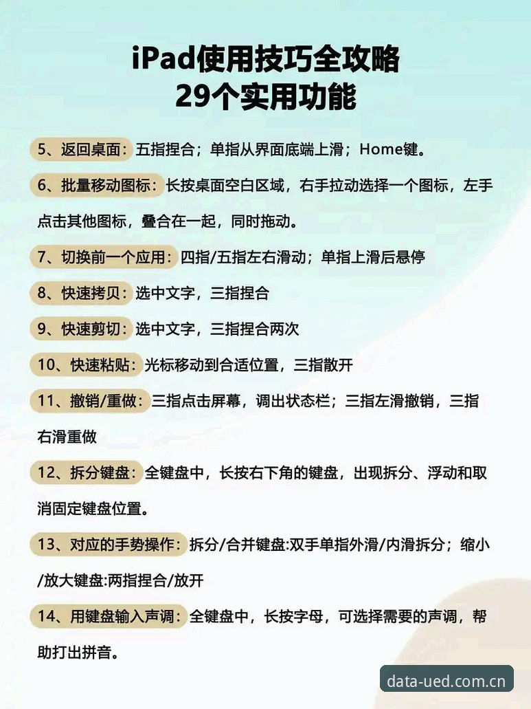 UED体育平台使用指南：从入门到精通的必备完整攻略